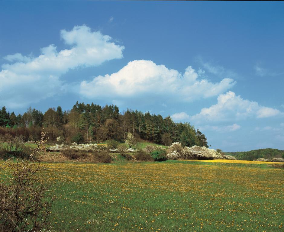 Gasthof Hotel Reif Konigstein in der Oberpfalz Bagian luar foto